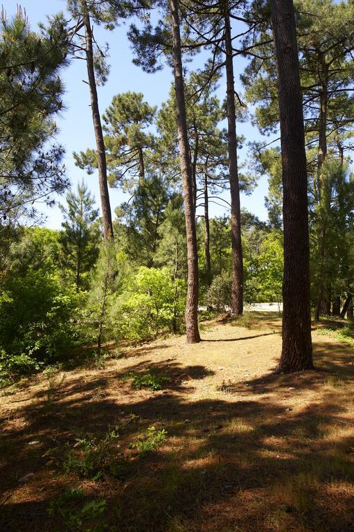 Les Cinq Sens Du Chateau Mayne Lalande Ξενοδοχείο Castelnau-de-Médoc Εξωτερικό φωτογραφία